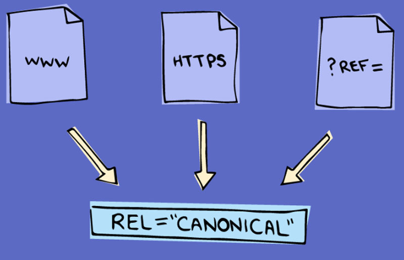 Thẻ Canonical (Thiết kế website chuẩn SEO với 13 tiêu chí)