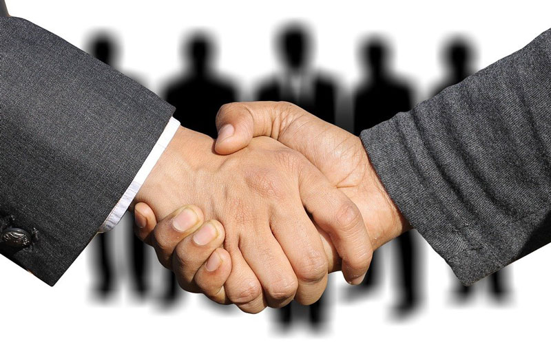 Hồ sơ năng lực