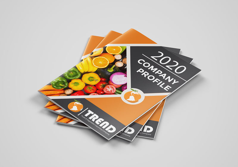 Hồ sơ năng lực công ty thực phẩm