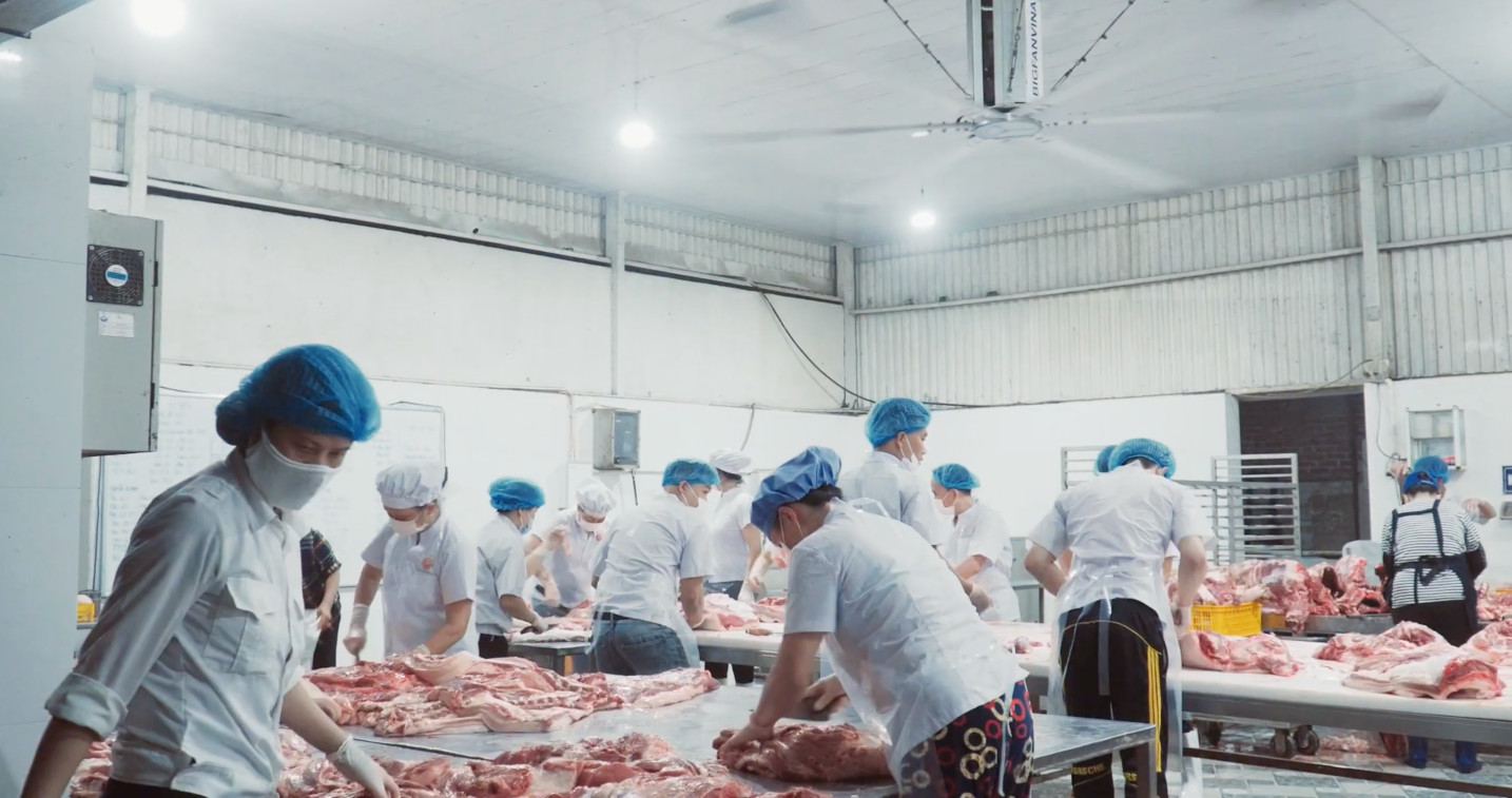 thiết kế website thịt sạch chuyên nghiệp