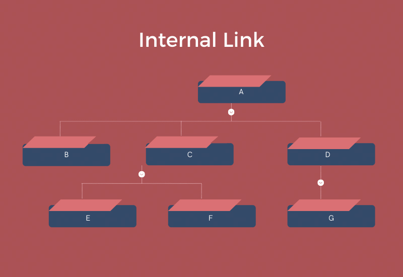 internal link là gì