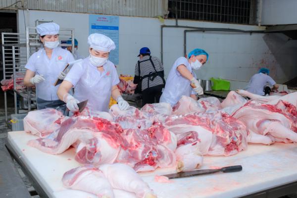 thiết kế website thịt sạch chuyên nghiệp