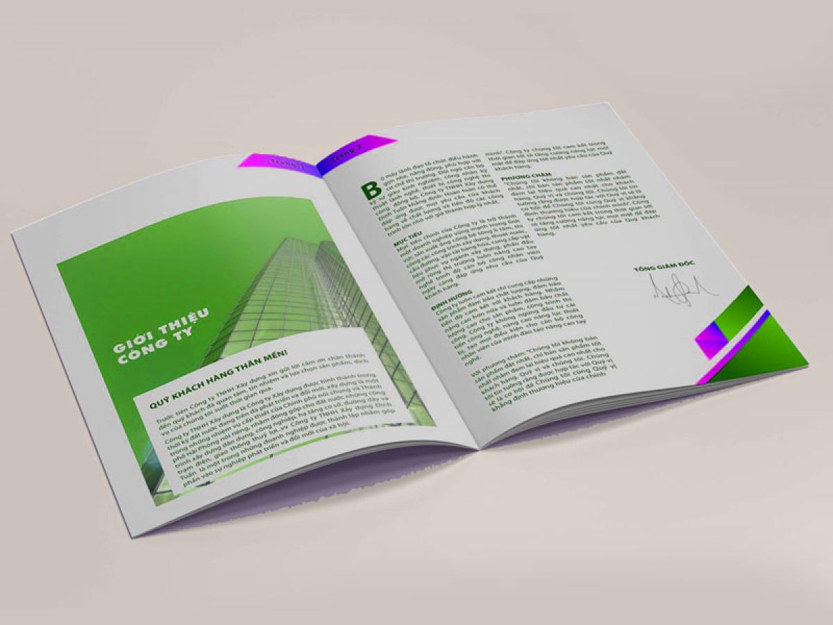 Hồ sơ năng lực công ty mới thành lập có gì?