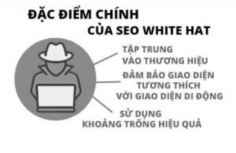 Các yếu tố tạo nên seo white hat Các yếu tố tạo nên seo white hat